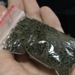 Крупную партию насвая изъяли в Оршанском районе