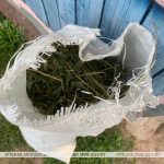 Маковую солому весом    3,2 кг изъяли правоохранители в Оршанском районе