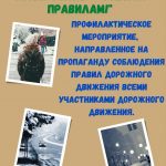 «Люби жизнь — живи по правилам!»