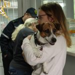 Перемещение физическими лицами через таможенную границу ЕАЭС в Республике Беларусь живых животных и растений
