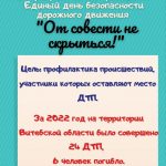 24 февраля Госавтоинспекция проведет Единый день безопасности дорожного движения под названием «От совести не скрыться!»