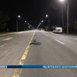 В Оршанском районе в ДТП погиб велосипедист