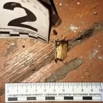 Генетика в помощь. Судебные эксперты по ДНК с окурка вычислили вора