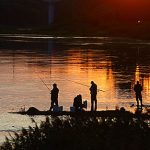 Рыбаку на заметку