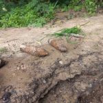 В Оршанском районе священник нашел снаряды, когда возвращался с рыбалки