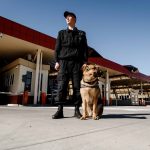Борьба с незаконным оборотом наркотических средств, психотропных веществ, их аналогов и прекурсоров