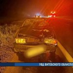 В Оршанском районе произошло смертельное ДТП