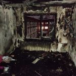 Судебные эксперты оказывают помощь следствию в установлении обстоятельств убийства женщины в Витебском районе