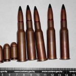 Патроны, изъятые сотрудниками Витебской таможни, по результатам баллистической экспертизы признаны боеприпасами