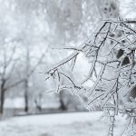 Как пережить сильные морозы