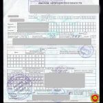 В Витебске девушка сама «продлила» себе больничный, не задумываясь о последствиях
