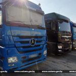 Более 200 тонн груш польского происхождения перемещали в Россию без необходимых документов: с начала месяца витебские, гомельские и могилевские таможенники установили 10 фактов незаконного вывоза фруктов с территории Беларуси