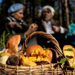 ОБ ОСУЩЕСТВЛЕНИИ ФИЗИЧЕСКИМИ ЛИЦАМИ СБОРА И РЕАЛИЗАЦИИ (СДАЧИ) ЛЕКАРСТВЕННЫХ РАСТЕНИЙ, ЯГОД, ГРИБОВ, ОРЕХОВ И ДРУГОЙ