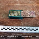 39 патронов, изъятых витебскими таможенниками, по результатам баллистической экспертизы признаны боеприпасами