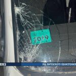 В Оршанском районе произошло смертельное ДТП