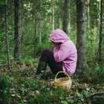 Что делать, если заблудился в лесу? Правила от спасателей, которые помогут выжить