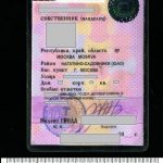 Судебные эксперты Витебска подтвердили сомнения сотрудников ГАИ