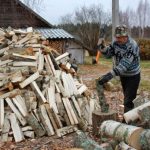Заготовка дров населением. Правила и ответственность за нарушение законодательства