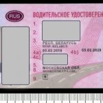 Судебные эксперты Витебска подтвердили сомнения сотрудников ГАИ