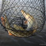 Незаконной добычей рыбы причинен ущерб в особо крупном размере