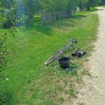 Аленький цветок в пластиковом ведре