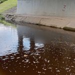 Вода ошибок не прощает: на акваториях области обнаружены двое утонувших мужчин