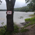 Судебными экспертами установлена личность утонувшего мужчины