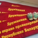 Добровольные дружины