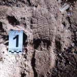Оставленные следы обуви помогли установить злоумышленника
