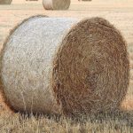 Легкая нажива – быстрая расплата