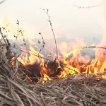 Осенний порядок – без пожаров!