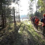 Открыт сезон загонной охоты